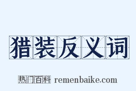 猎装反义词是什么意思的图片